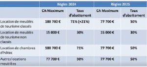 LMNP 2025  La location meublée touristique: les nouvelles règles du jeu LMNP 2025